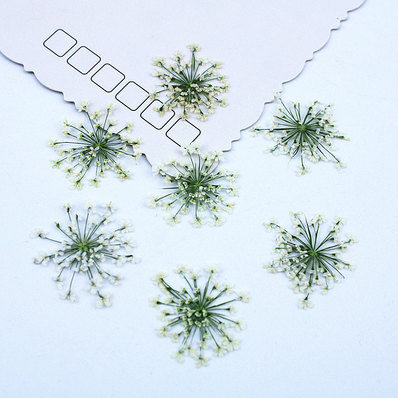 Resin Art Baby - 500個 レースフラワー ドライフラワー プレスフラワー DIY材料 ブックマーク