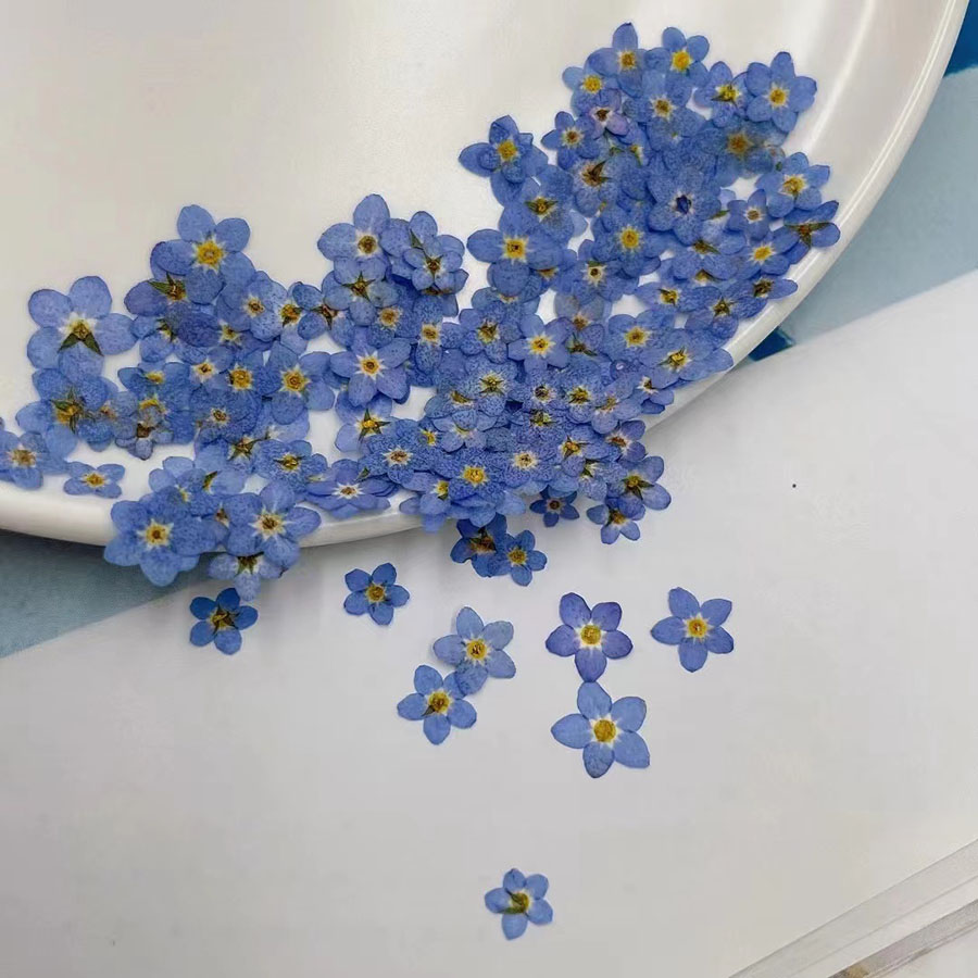60個入り ミニ押し花 - 写真立て、レジンジュエリー、スマ - Resin Art Case のレビューと価格